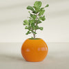 Globe Large Sphere Fiberglass Planter - 30 in x 30 in x 24 in - Gloss Tangerine - Gloss Tangerine,30 in x 30 in x 24 in