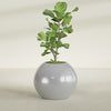 Globe Large Sphere Fiberglass Planter - 30 in x 30 in x 24 in - Metallic Silver - Metallic Silver,30 in x 30 in x 24 in