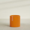 Rio Grande Medium Round Fiberglass Planter - 22 in x 22 in x 22 in - Gloss Tangerine - Gloss Tangerine,22 in x 22 in x 22 in