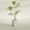 Tolga Medium Rectangle Fiberglass Planter - 16 in x 16 in x 24 in - Satin Beige - Satin Beige,16 in x 16 in x 24 in