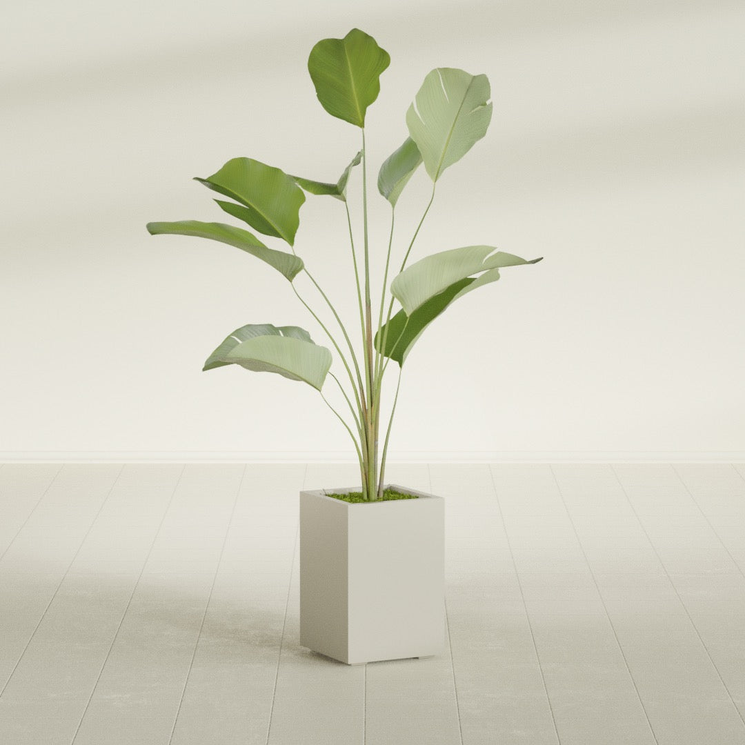 Tolga Medium Rectangle Fiberglass Planter - 16 in x 16 in x 24 in - Satin Beige - Satin Beige,16 in x 16 in x 24 in