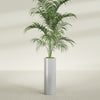 Corry Large Tall Cylinder Fiberglass Planter - 10 in x 10 in x 30 in - Metallic Silver - Metallic Silver,10 in x 10 in x 30 in