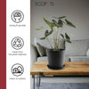 Small Round Saucer - 14.5 in x 14.5 in x 1.5 in - Dark Grey - Dark Grey,14.5 in x 14.5 in x 1.5 in