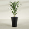 Tegel Medium Round Fiberglass Planter - 18 in x 18 in x 26 in - Matte Black - Matte Black,18 in x 18 in x 26 in