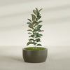 Casablanca Large Round Low Bowl Fiberglass Planter - 30 in x 30 in x 15 in - Matte Bronze - Matte Bronze,30 in x 30 in x 15 in