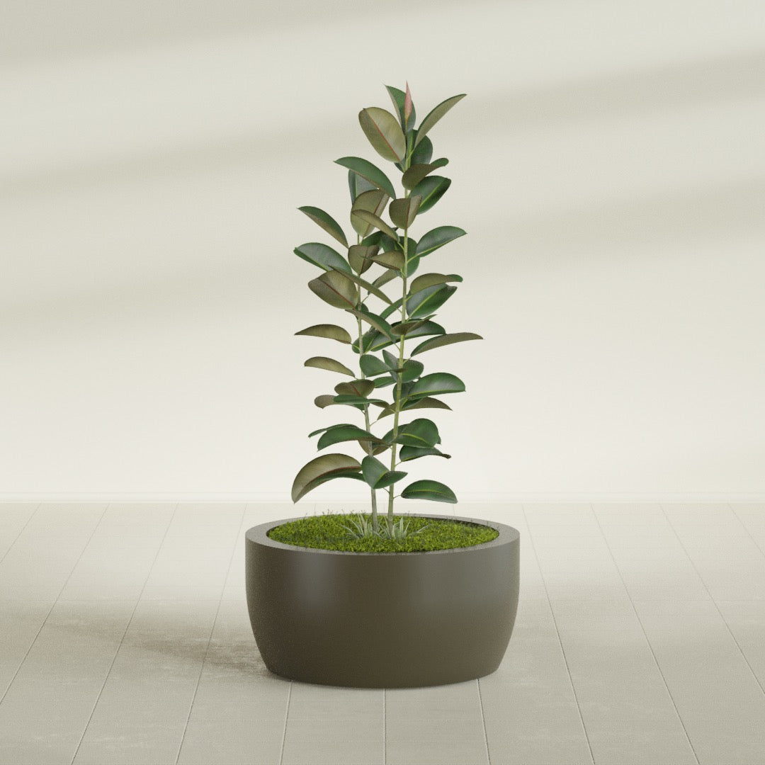 Casablanca Large Round Low Bowl Fiberglass Planter - 30 in x 30 in x 15 in - Matte Bronze - Matte Bronze,30 in x 30 in x 15 in