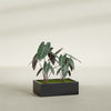 Antwerp Large Long Rectangle Fiberglass Planter - 36 in x 24 in x 12 in - Matte Black - Matte Black,36 in x 24 in x 12 in