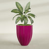 Alicante Medium Round Fiberglass Planter - 26 in x 26 in x 32 in - Gloss Eggplant - Gloss Eggplant,26 in x 26 in x 32 in