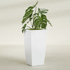 Toulan Large Tall Tapered Square Fiberglass Planter - 20 in x 20 in x 42 in - Gloss White - Gloss White,20 in x 20 in x 42 in