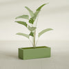 Cuba Large Long Rectangle Fiberglass Planter - 36 in x 14 in x 12 in - Satin Green - Satin Green,36 in x 14 in x 12 in