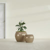 Fishbowl Small Round Fiberglass Planter - 16 in x 16 in x 14 in - Metallic Gold - Metallic Gold,16 in x 16 in x 14 in