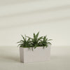 Tapered Rectangle - 36in x 12in x 18in - StoneLight - Pearlstone - StoneLight - Pearlstone,36 in x 12 in x 18 in