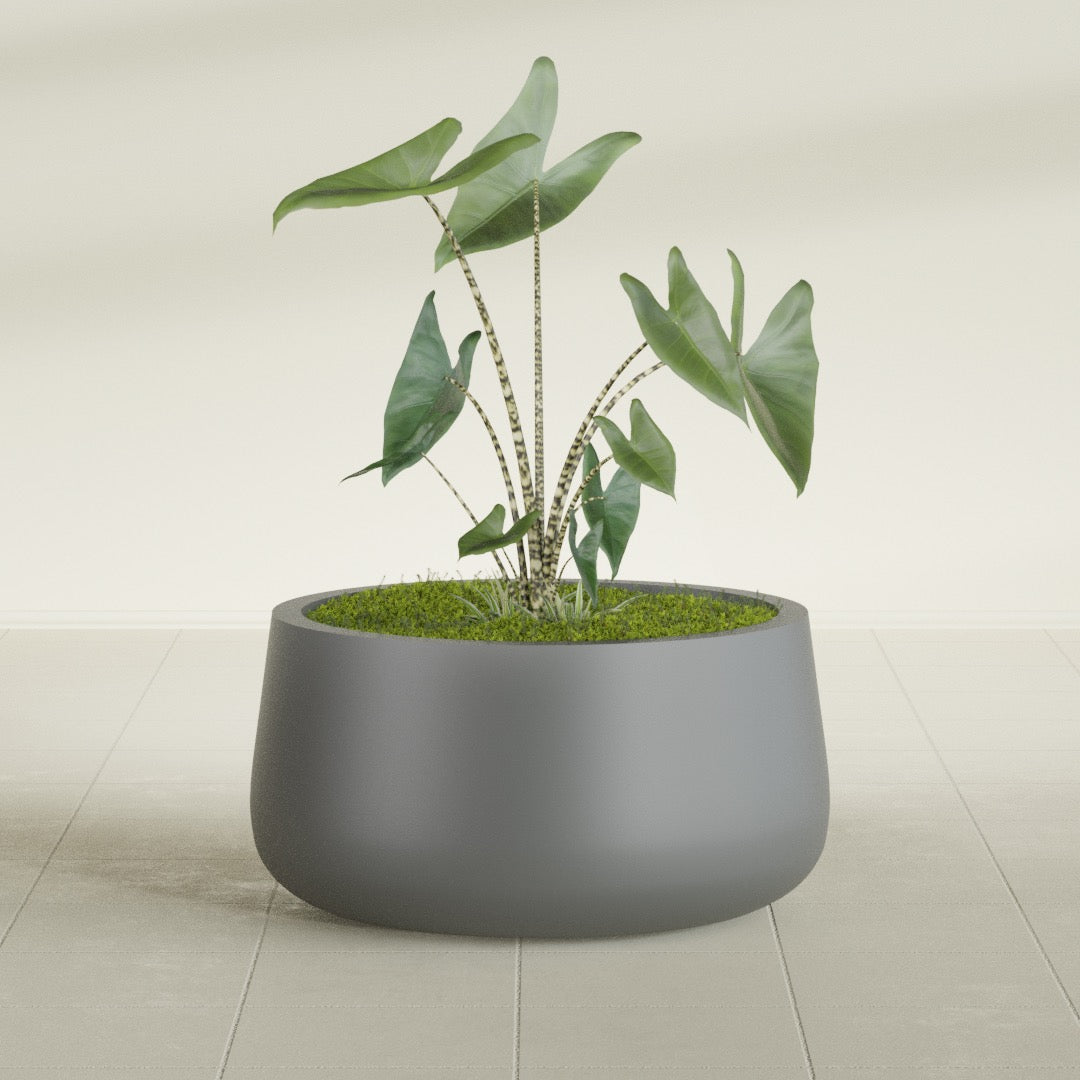 Short Hayden Medium Round Fiberglass Planter - 20 in x 20 in x 10 in - Metallic Gunmetal - Metallic Gunmetal,20 in x 20 in x 10 in