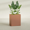 Darwin Large Rectangle Fiberglass Planter - 36 in x 24 in x 42 in - Matte Terracotta - Matte Terracotta,36 in x 24 in x 42 in