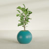 Globe Medium Sphere Fiberglass Planter - 24 in x 24 in x 19 in - Satin Sea Foam - Satin Sea Foam,24 in x 24 in x 20 in