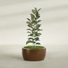 Casablanca Large Round Low Bowl Fiberglass Planter - 30 in x 30 in x 15 in - Metallic Bronze - Metallic Bronze,30 in x 30 in x 15 in