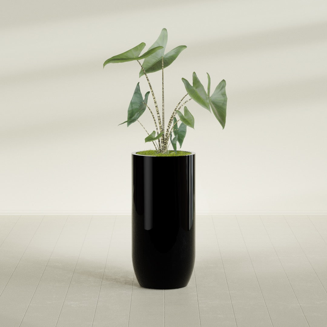 Saint Tropez Extra Large Tall Round Fiberglass Planter - 24 in x 24 in x 50 in - Gloss Black - Gloss Black,24 in x 24 in x 50 in