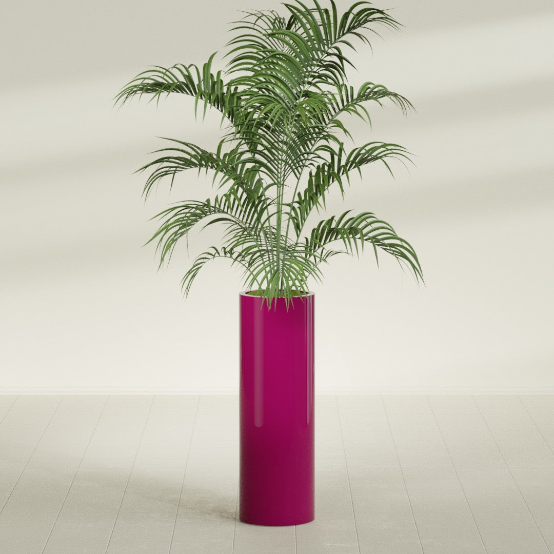 Corry Large Tall Cylinder Fiberglass Planter - 12 in x 12 in x 36 in - Gloss Eggplant - Gloss Eggplant,30 in x 30 in x 32 in