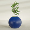 Globe Large Sphere Fiberglass Planter - 36 in x 36 in x 30 in - Matte Cobalt Blue - Matte Cobalt Blue,36 in x 36 in x 30 in