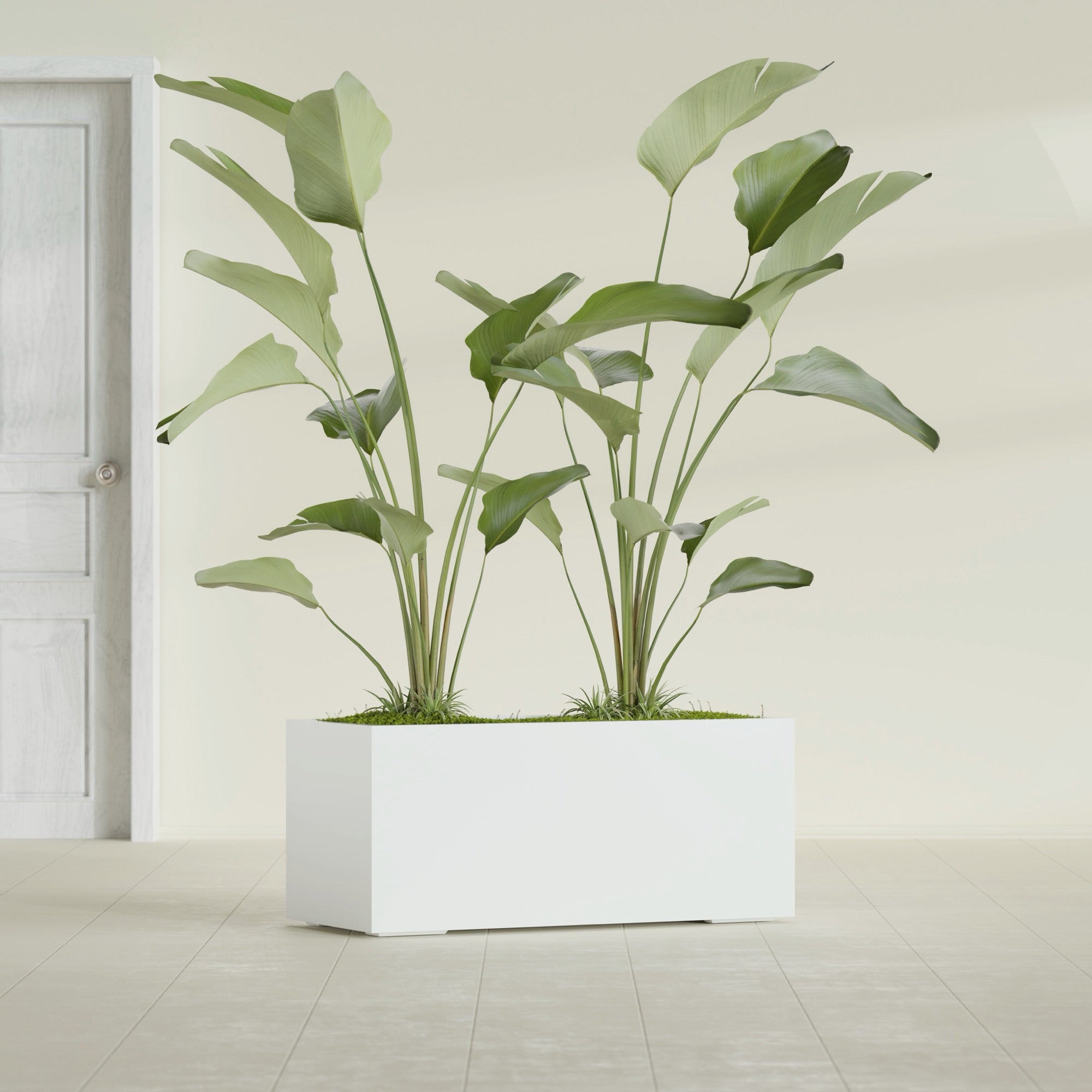 Badalona Large Tall Rectangle Fiberglass Planter - 39 in x 17 in x 17 in - Gloss White - Gloss White,39 in x 17 in x 17 in