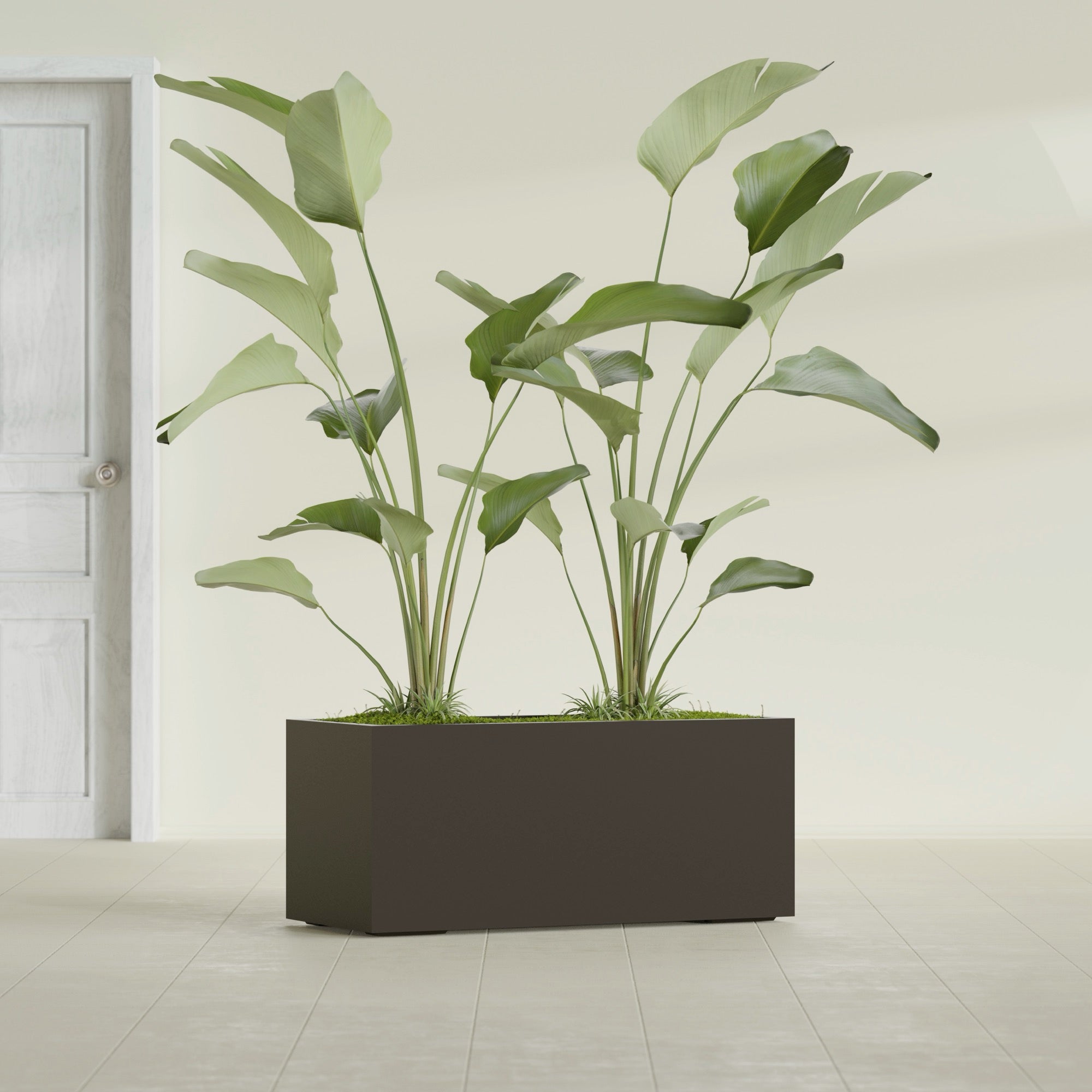 Badalona Large Tall Rectangle Fiberglass Planter - 39 in x 17 in x 17 in - Matte Brown - Matte Brown,39 in x 17 in x 17 in