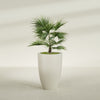 Brannan Large Round Fiberglass Planter - 24 in x 24 in x 35 in - Satin Beige - Satin Beige,24 in x 24 in x 35 in