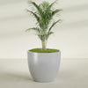 Wannsee Extra Large Round Fiberglass Planter - 50 in x 50 in x 44 in - Metallic Silver - Metallic Silver,50 in x 50 in x 44 in
