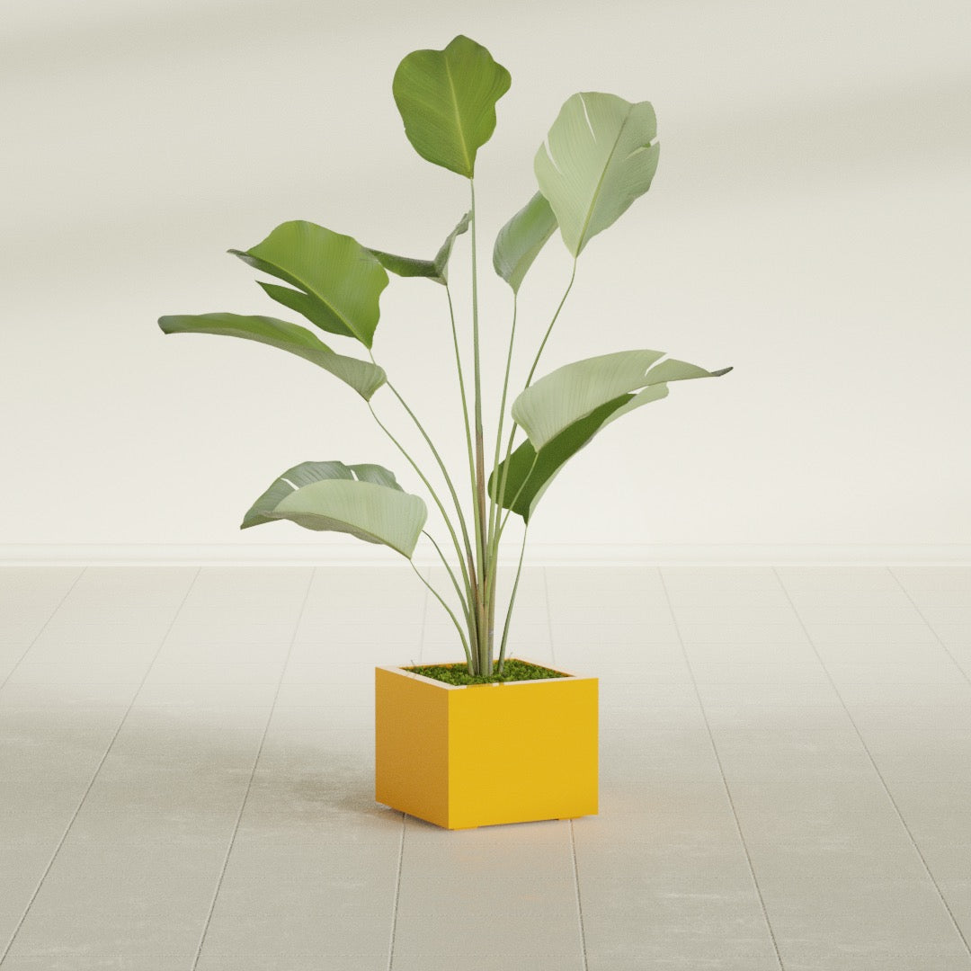 Cuba Small Fiberglass Column Planter - 14 in x 14 in x 12 in - Gloss Saffron - Gloss Saffron,14 in x 14 in x 12 in