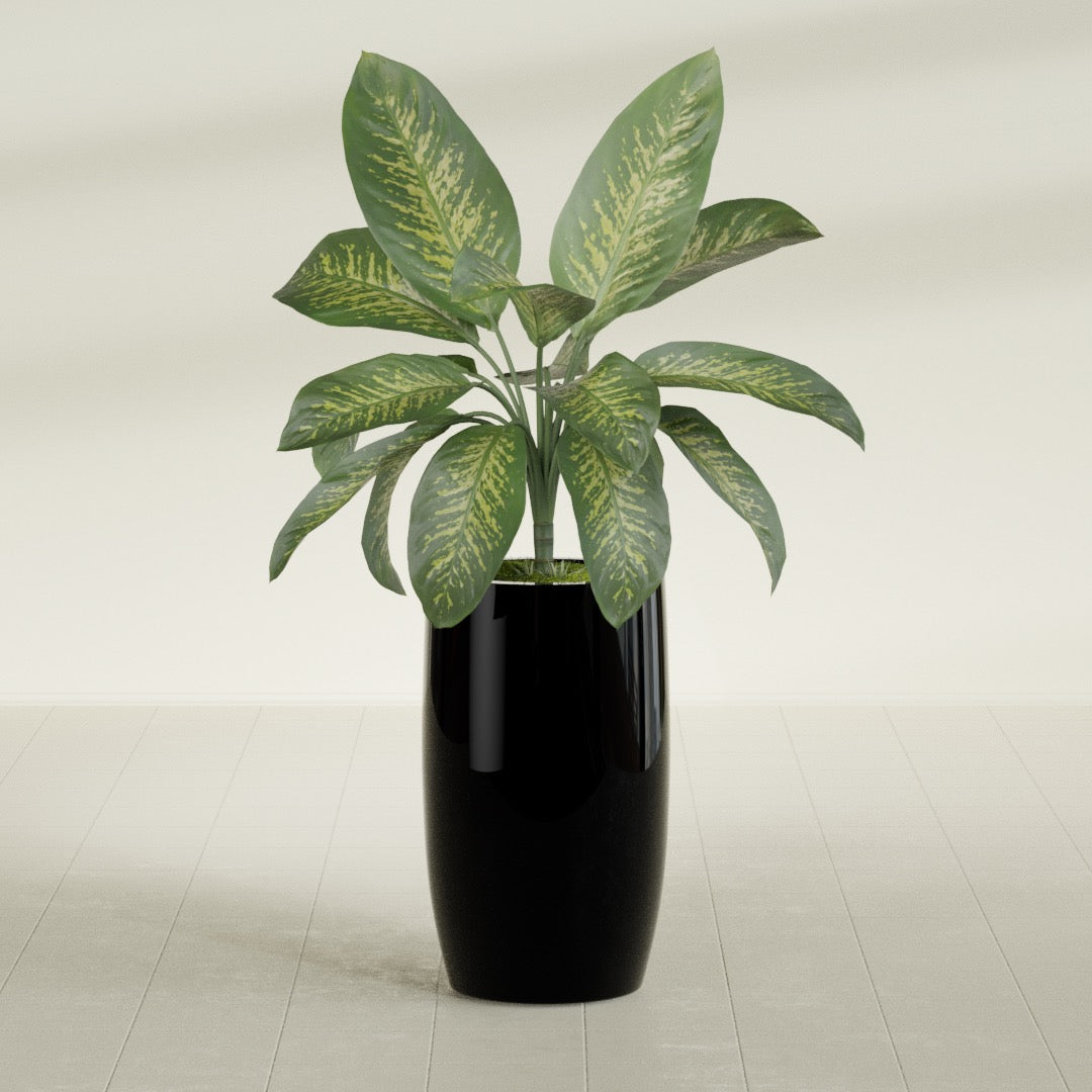 Lisbon Large Round Fiberglass Planter - 18 in x 18 in x 32 in - Gloss Black - Gloss Black,18 in x 18 in x 32 in