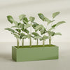 Torino Extra Large Wide Rectangle Fiberglass Planter - 60 in x 24 in x 18 in - Satin Green - Satin Green,60 in x 24 in x 18 in