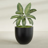 Alzira Large Round Fiberglass Planter - 36 in x 36 in x 34 in - Matte Black - Matte Black,36 in x 36 in x 34 in