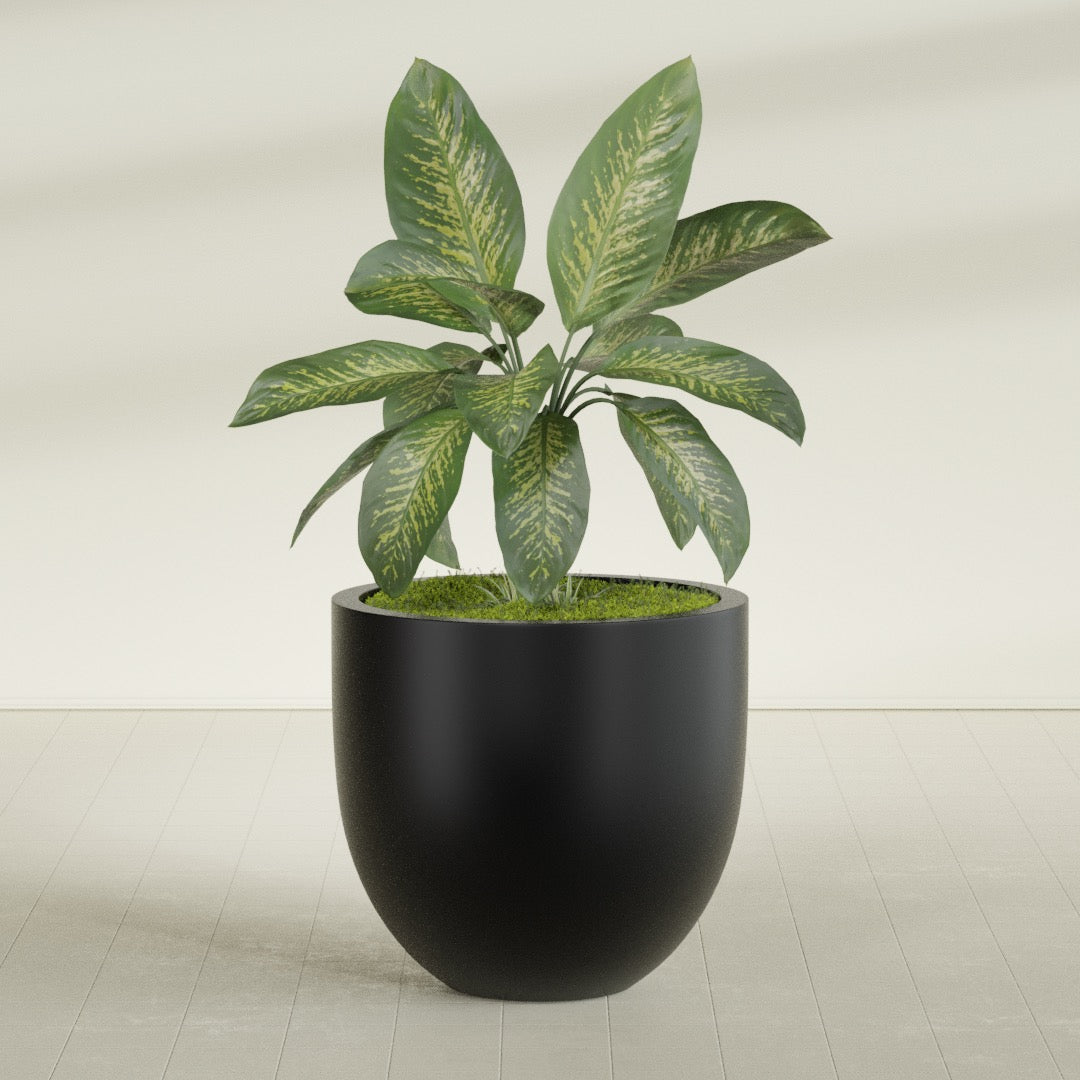 Alzira Large Round Fiberglass Planter - 36 in x 36 in x 34 in - Matte Black - Matte Black,36 in x 36 in x 34 in
