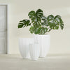Alicante Small Round Fiberglass Planter - 15 in x 15 in x 21 in - Matte White - Matte White,15 in x 15 in x 21 in