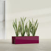 Tiergarden Large Long Over The Railing Rectangle Fiberglass Planter - 36 in x 12 in x 10 in - Gloss Eggplant - Gloss Eggplant,36 in x 12 in x 10 in