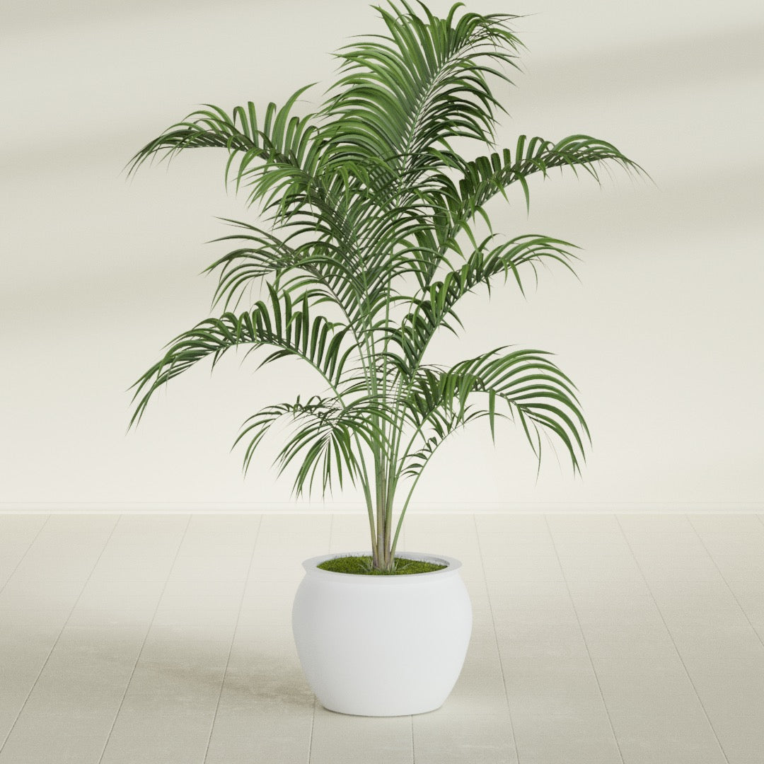 Fishbowl Small Round Fiberglass Planter - 16 in x 16 in x 14 in - Gloss White - Gloss White,16 in x 16 in x 14 in