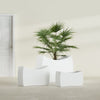 Seoul Extra Large Curved Abstract Fiberglass Planter - 48 in x 20 in x 36 in - Gloss White - Gloss White,48 in x 20 in x 36 in