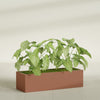 Reade Small Tabletop Rectangle Fiberglass Planter - 18 in x 6.5 in x 5 in - Matte Terracotta - Matte Terracotta,18.5 in x 6.5 in x 5 in