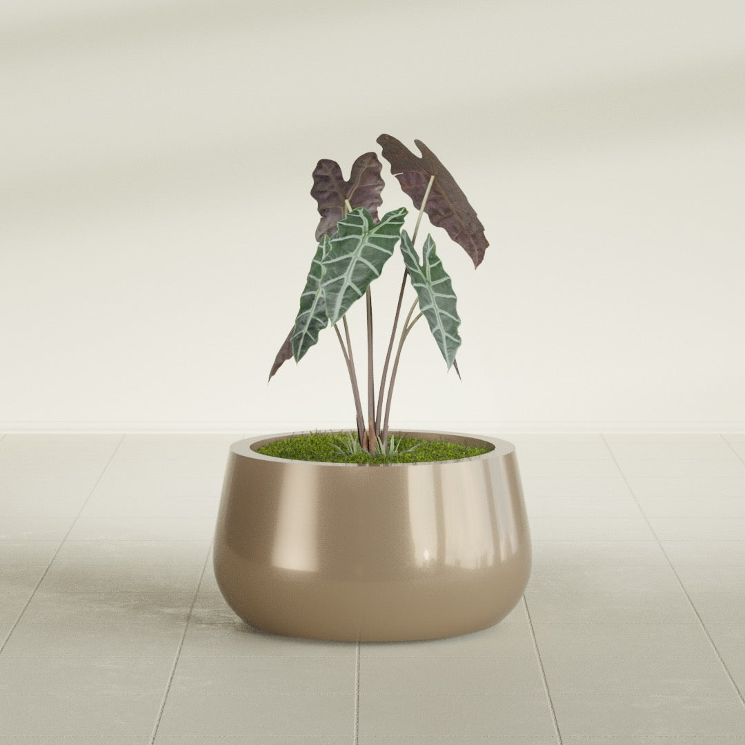 Short Hayden Small Round Fiberglass Planter - 16 in x 16 in x 8 in - Metallic Gold - Metallic Gold,16 in x 16 in x 8 in