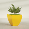 Lima Large Tapered Square Fiberglass Planter - 30 in x 30 in x 30 in - Gloss Saffron - Gloss Saffron,30 in x 30 in x 30 in