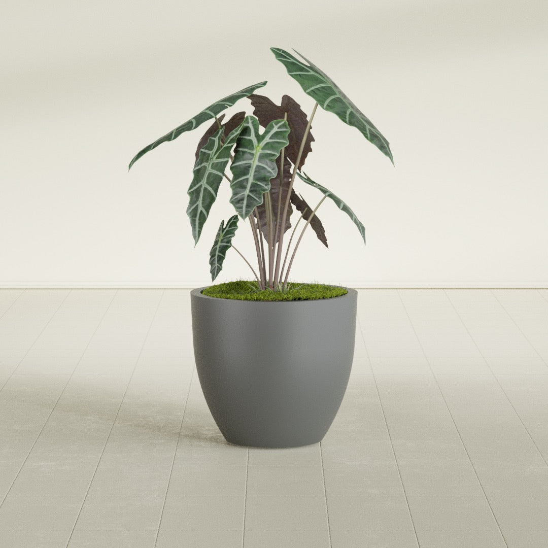 Wannsee Medium Round Fiberglass Planter - 27 in x 27 in x 24 in - Metallic Gunmetal - Metallic Gunmetal,27 in x 27 in x 24 in