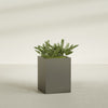 Brisbane Large Rectangle Fiberglass Planter - 24 in x 24 in x 32 in - Matte Bronze - Matte Bronze,24 in x 24 in x 32 in