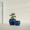 Fishbowl Small Round Fiberglass Planter - 16 in x 16 in x 14 in - Matte Cobalt Blue - Matte Cobalt Blue,16 in x 16 in x 14 in