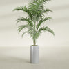 Corry Medium Tall Cylinder Fiberglass Planter - 10 in x 10 in x 20 in - Metallic Silver - Metallic Silver,10 in x 10 in x 20 in