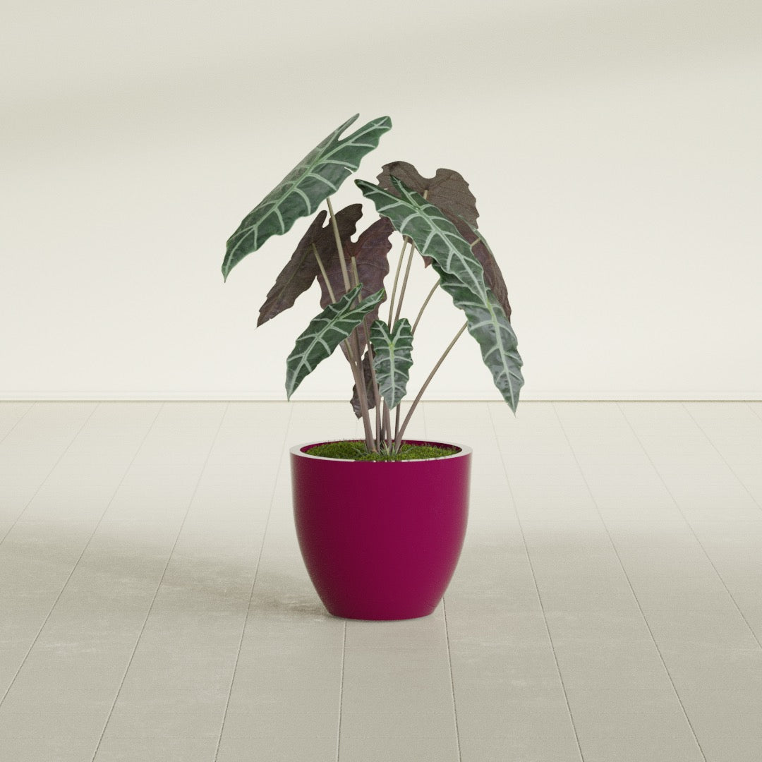 Wannsee Medium Round Fiberglass Planter - 22 in x 22 in x 19 in - Gloss Eggplant - Gloss Eggplant,22 in x 22 in x 19 in