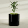 Rio Grande Large Round Fiberglass Planter - 30 in x 30 in x 32 in - Gloss Black - Gloss Black,30 in x 30 in x 32 in