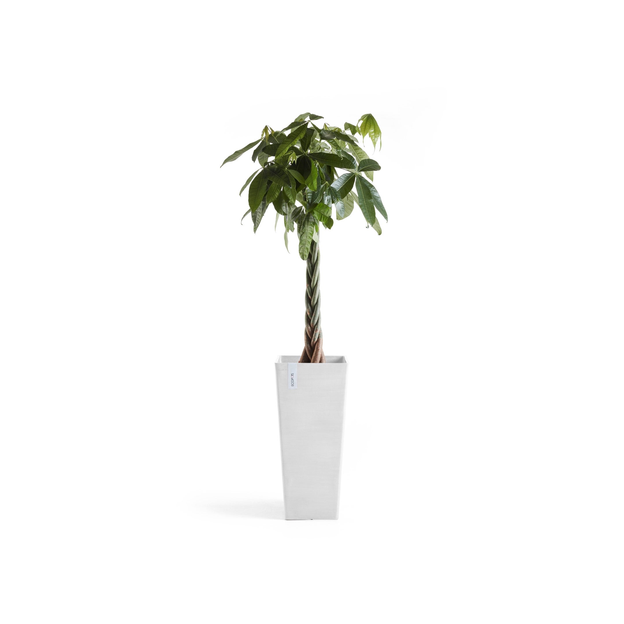 Rotterdam High Medium Square Planter - 12.6 in x 12.6 in x 27.5 in - Pure White - Pure White,12.5 in x 12.5 in x 27.5 in,Planter Only