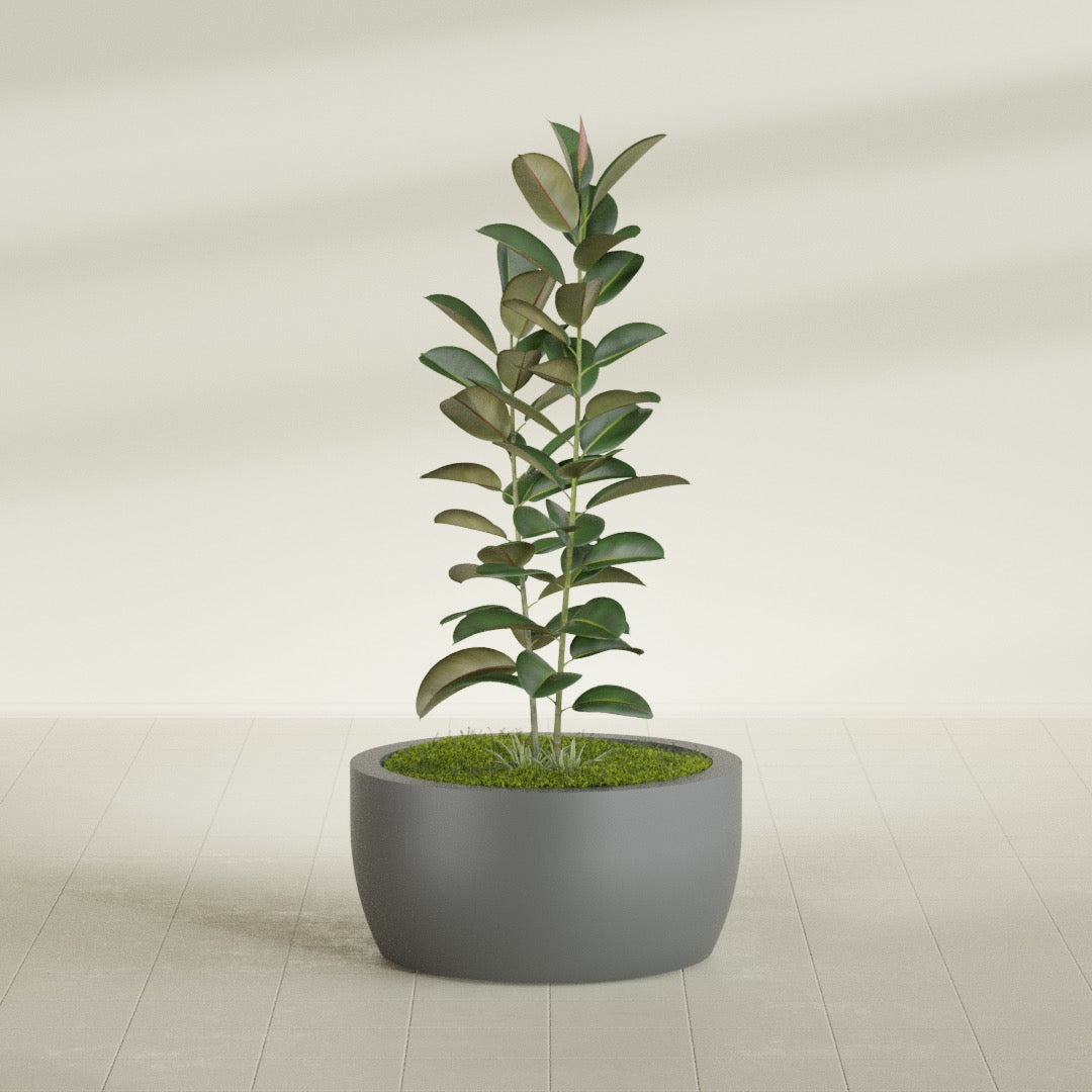 Casablanca Large Round Low Bowl Fiberglass Planter - 30 in x 30 in x 15 in - Metallic Gunmetal - Metallic Gunmetal,30 in x 30 in x 15 in