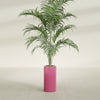 Corry Medium Tall Cylinder Fiberglass Planter - 10 in x 10 in x 20 in - Gloss Pink Violet - Gloss Pink Violet,10 in x 10 in x 20 in