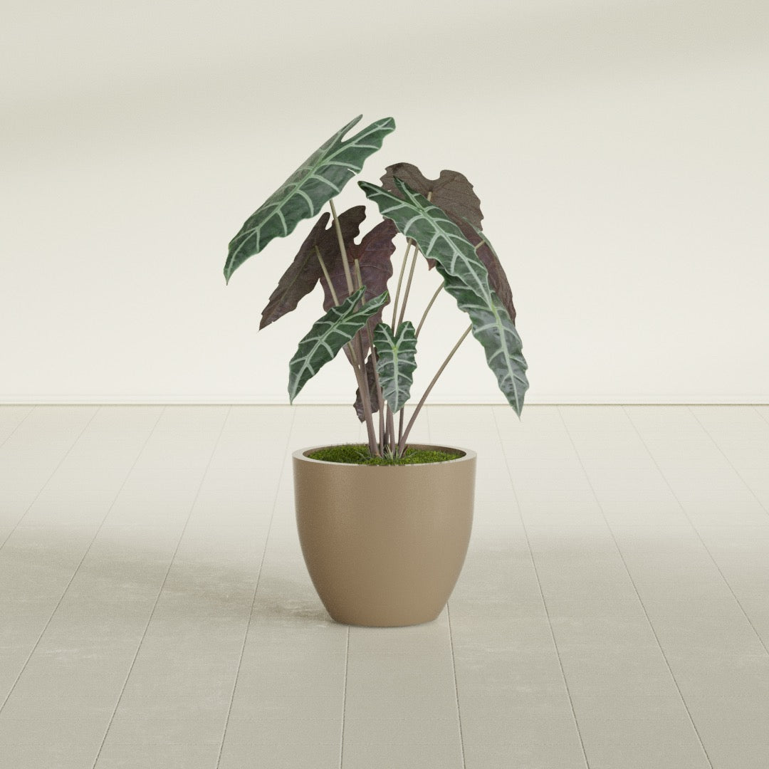 Wannsee Medium Round Fiberglass Planter - 22 in x 22 in x 19 in - Metallic Gold - Metallic Gold,22 in x 22 in x 19 in