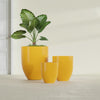 Valencia Medium Round Fiberglass Planter - 20 in x 20 in x 23 in - Gloss Saffron - Gloss Saffron,20 in x 20 in x 23 in